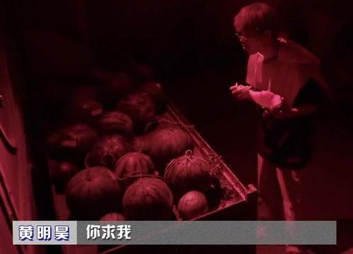 娱乐吃瓜密室逃脱小说推荐,娱乐吃瓜背后的惊悚谜案