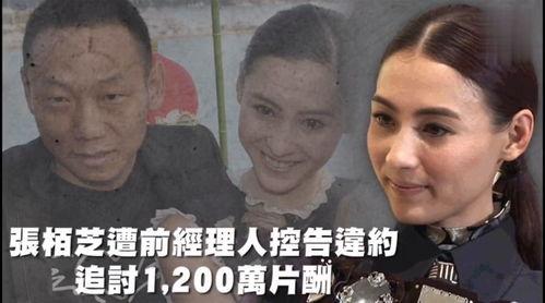 吃瓜群娱乐,揭秘娱乐圈幕后故事，带你领略明星真实生活