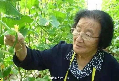 娱乐圈吃瓜熊婶是谁啊,娱乐圈神秘人物“吃瓜熊婶”揭秘