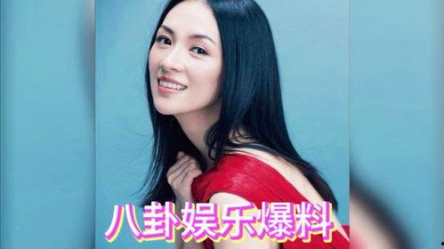 娱乐八卦吃瓜直播姐妹,揭秘娱乐八卦吃瓜姐妹的幕后故事