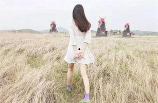 娱乐吃瓜酱背影图片高清,娱乐吃瓜酱背影，带你一窥明星幕后生活