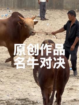 娱乐吃瓜酱牛,揭秘娱乐圈那些不为人知的幕后故事