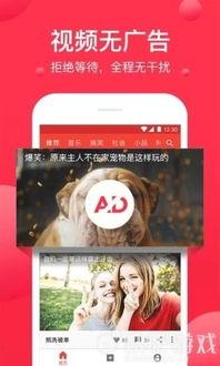 吃瓜娱乐达人视频大全下载,一键下载收藏！
