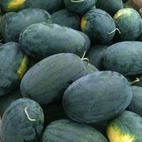 瓜家人在洛杉矶娱乐吃瓜号,瓜家人吃瓜大揭秘