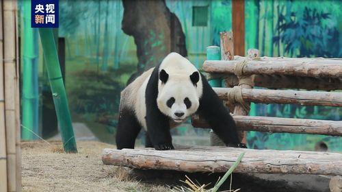 娱乐吃瓜酱动物园,揭秘娱乐圈背后的趣味故事