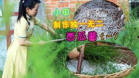 娱乐吃瓜酱阳光,揭秘娱乐圈的甜蜜与阳光