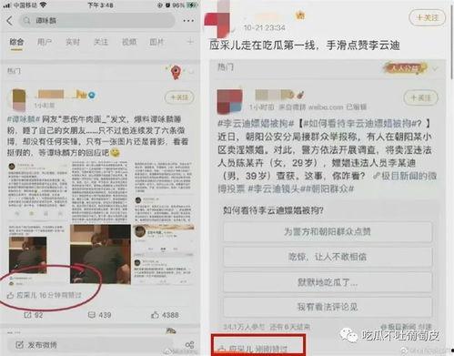 娱乐圈吃瓜信息汇总,揭秘最新吃瓜资讯汇总