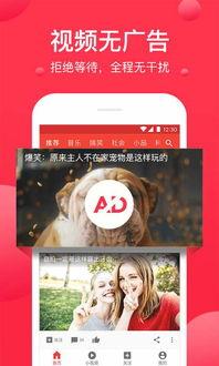 娱乐吃瓜酱视频模板下载,跟随“娱乐吃瓜酱”视频模板，一探究竟！