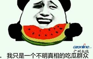 娱乐吃瓜酱网络烂梗,盘点那些让人笑到肚子疼的网络烂梗