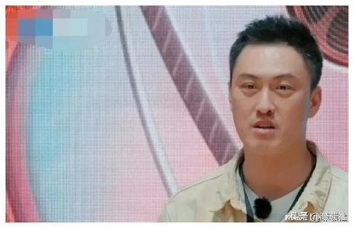 娱乐圈吃瓜爆料标题,揭秘明星背后的惊人真相！